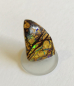 Preview: Matrix-Opal Fant.